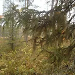 Toola-lodge Syöte