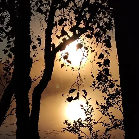 Vakantiehuis Toola-lodge *