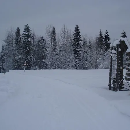 Toola-lodge *