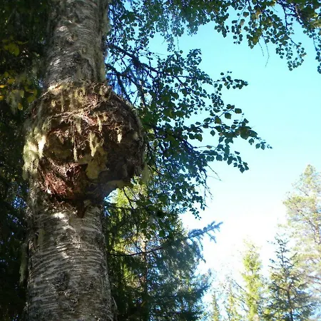 Toola-lodge Semesterbostad *