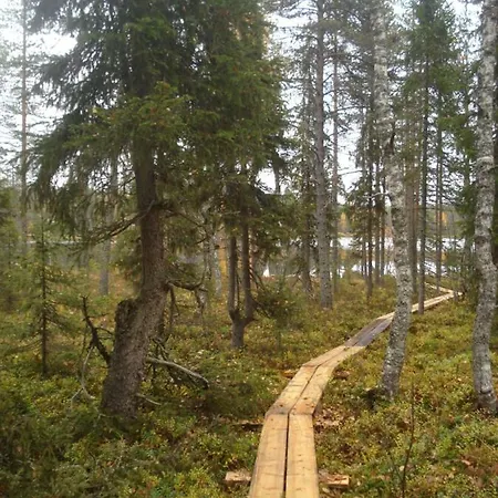 Toola-lodge *