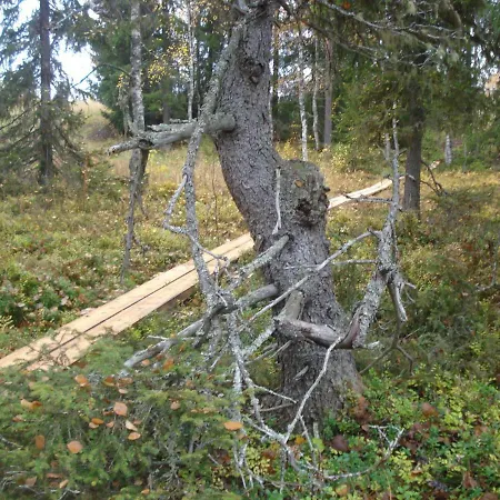 Toola-lodge *