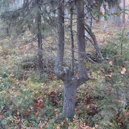 Toola-lodge Casa vacanze *