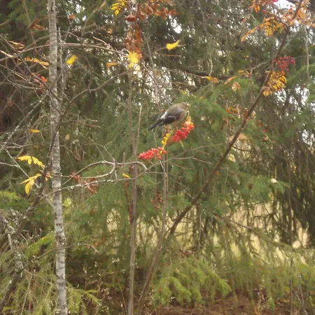 Toola-lodge Casa vacanze