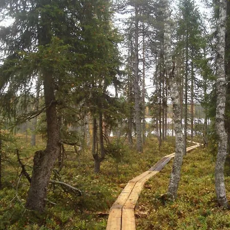 Feriehus Toola-lodge *