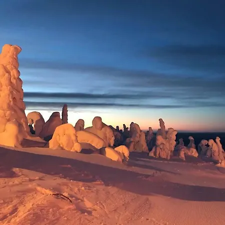 Vakantiehuis Toola-lodge