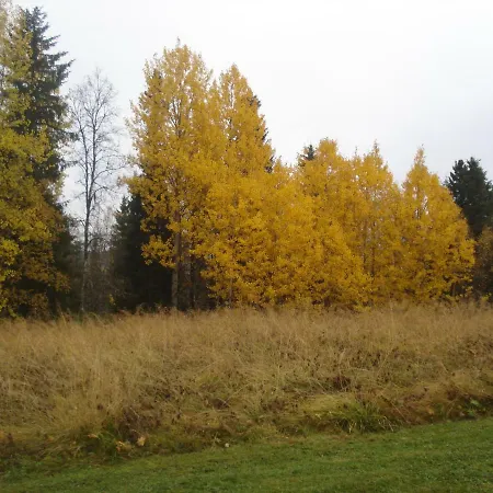 Toola-lodge * Syöte