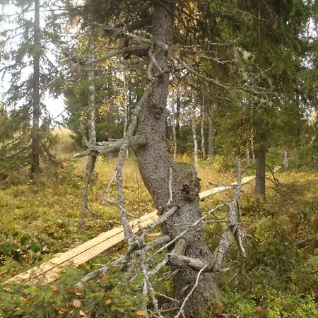 Toola-lodge Feriehus *