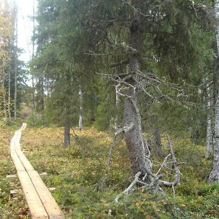 Loma-asunnot Toola-lodge Iso-Syöte