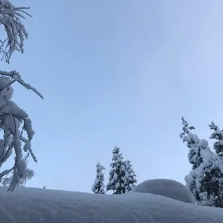 Toola-lodge * Syöte