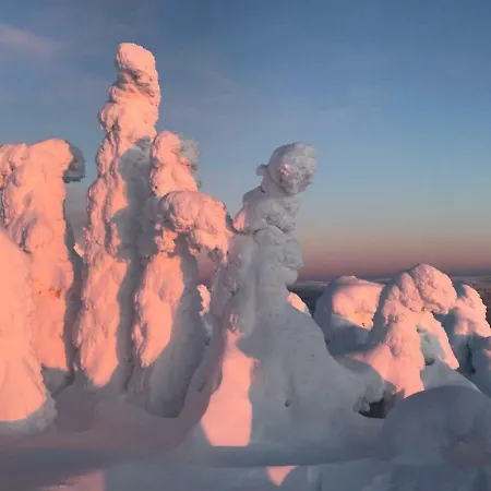 Vakantiehuis Toola-lodge *