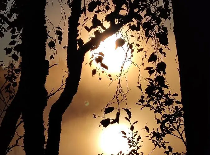 Casa de Férias Toola-lodge *