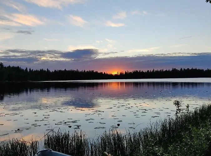 Ferienhaus Toola-lodge