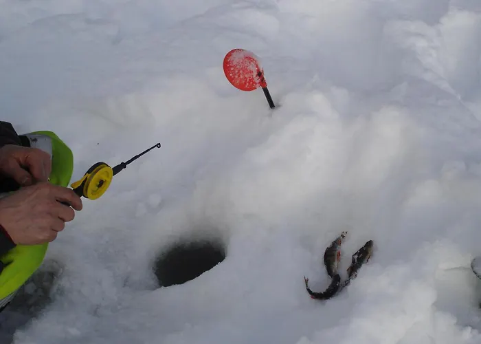 Toola-lodge Tatil Evi