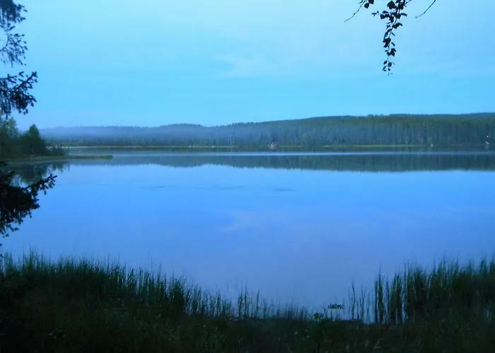 Ferienhaus Toola-lodge *