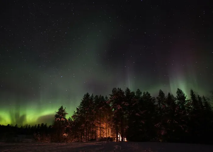Toola-lodge Ferienhaus