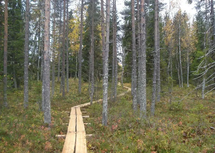 Tatil Evi Toola-lodge Syöte