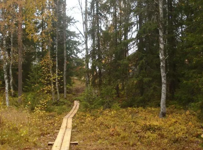 Ferienhaus Toola-lodge