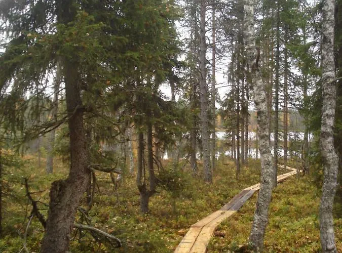 Ferienhaus Toola-lodge *