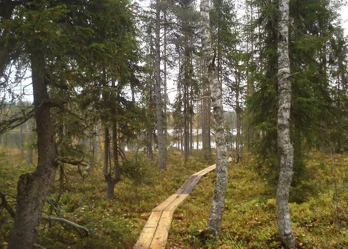 Ferienhaus Toola-lodge Syöte