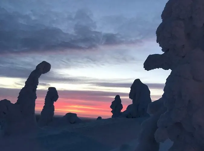 Tatil Evi Toola-lodge *