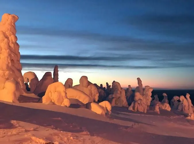 Ferienhaus Toola-lodge