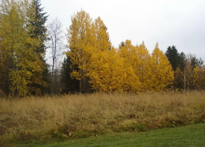 Toola-lodge * Syöte