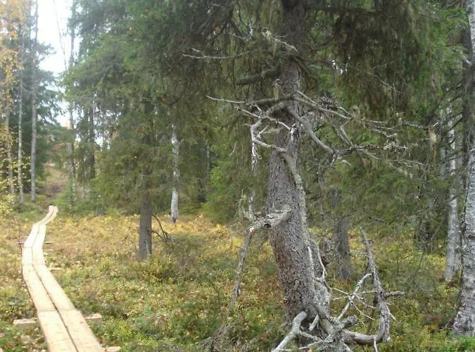 Tatil Evi Toola-lodge Syöte