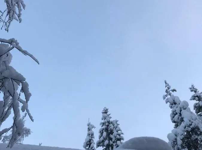 Toola-lodge * Syöte