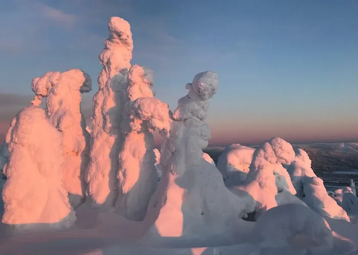 Tatil Evi Toola-lodge *