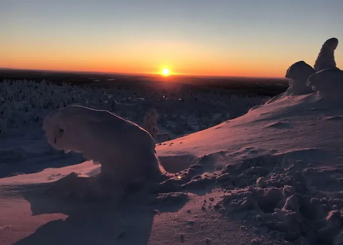 Toola-lodge * Syöte