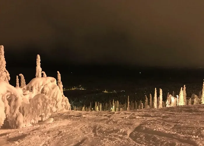 Toola-lodge Ferienhaus